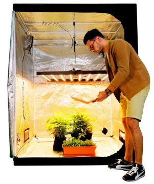 640Watt White Led Grow Light for Indoor Plants
