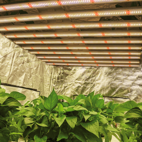 UV IR Grow Light For Succulents Plant