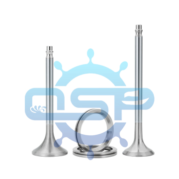 RUSSIAN LOCOMOTIVE D49 diesel Engine Intake Exhaust Valve Spindle /valve seat