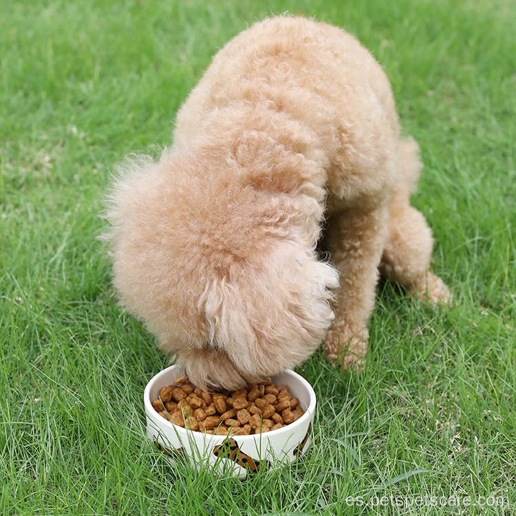 Tazón de comida para perros animal de cerámica personalizada para perros