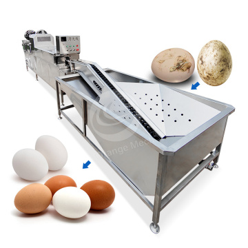 ORME Commercial Egg Mud Brush Machine - Egg Shell Washer & Cleaner for Sale