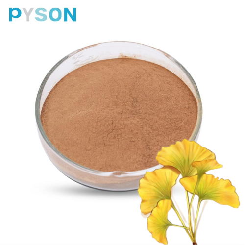 Ginkgo Biloba Leaf Extract 24% 6% HPLC