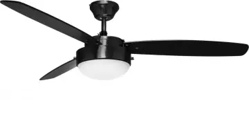 Matt black  ceiling fan