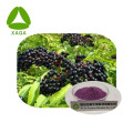 Elderberry chiết xuất chất chống oxy hóa bột Anthocyanidins