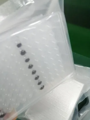 Magnetic Bead 16T SARS-CoV-2 Antigen Rapid Detection Kit