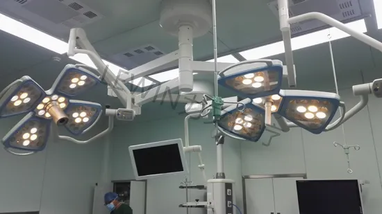 Double Head Flower OT Light