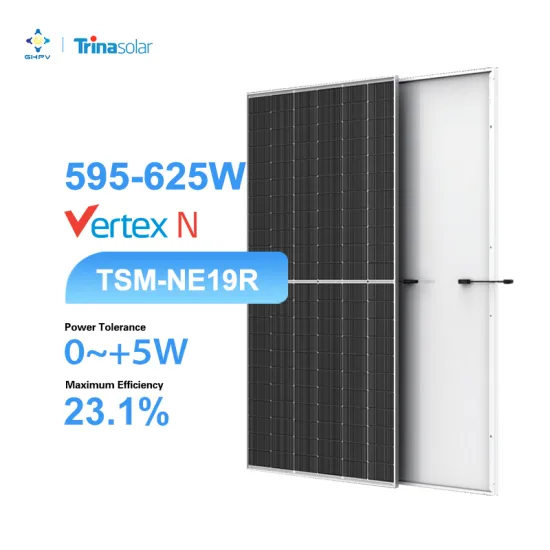 Trina Europe's Bifacial Solar Panels: Pricing for Models Ranging from 595W to 625W