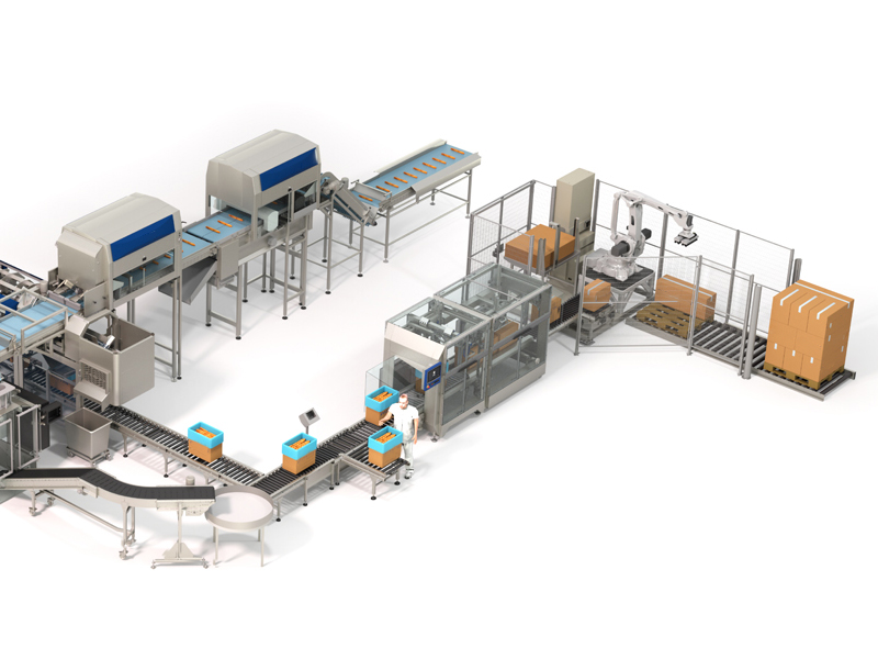 Food Post-Packaging Production Line