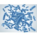 High Stability Freeze Dried Lactobacillus Bulgaricus
