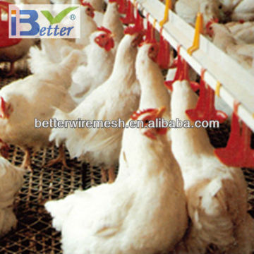 BT factory broiler poultry farm equipmentfor sale for broiler chicken