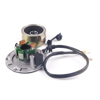 Factory Direct Zongshen 155 Motorcycle Scooter Engine Magneto Assembly and Spare Parts