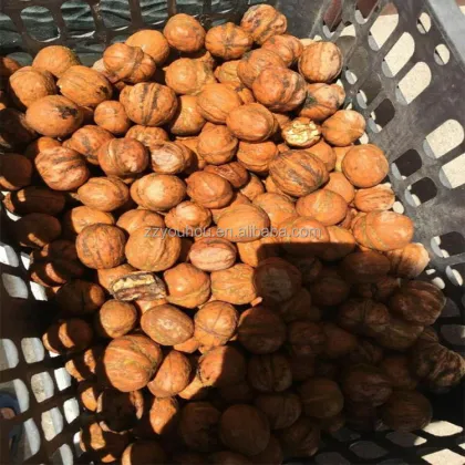 Electric Pecan Nut Shelling and Cleaning Machine for Shop Use: Your Reliable Partner in Nuts Processing