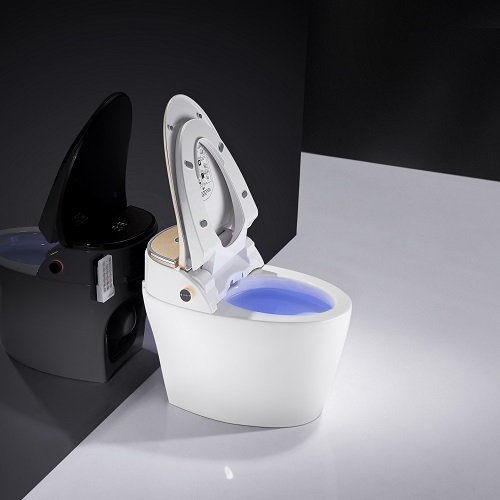 Toilet Wash Bidet Intelligent Bathroom Vanity Units