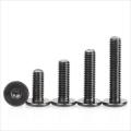 Black Hexagon Low Flat Wafer Head Screw Bolt