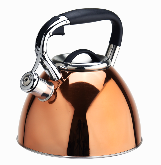 Stainless steel stovetop whistling copper coffee tea kettle