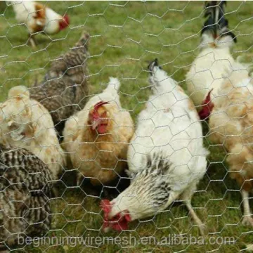 Hexagonal Wire Mesh for Livestock and Poultry Raising
