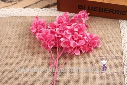 preserved butterfly flower
