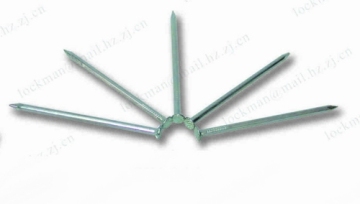 Competitive Bright Wire Common Nail 044