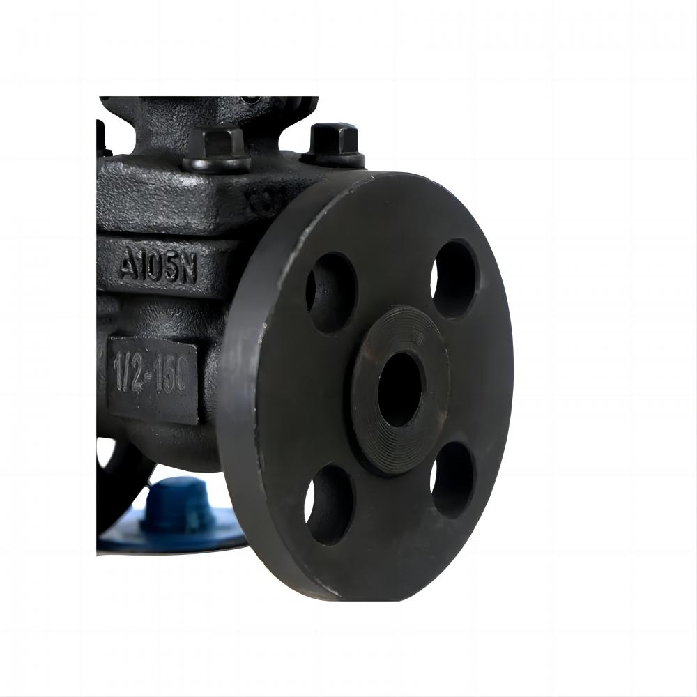 DN25-DN300 Forged steel gate valve