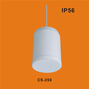 Speaker CS-259