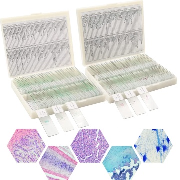 Ensemble de diapositives d'histologie humaine préparée - FRT2001: 100 types de tissus épithéliaux pour le cours d'anatomie et de physiologie