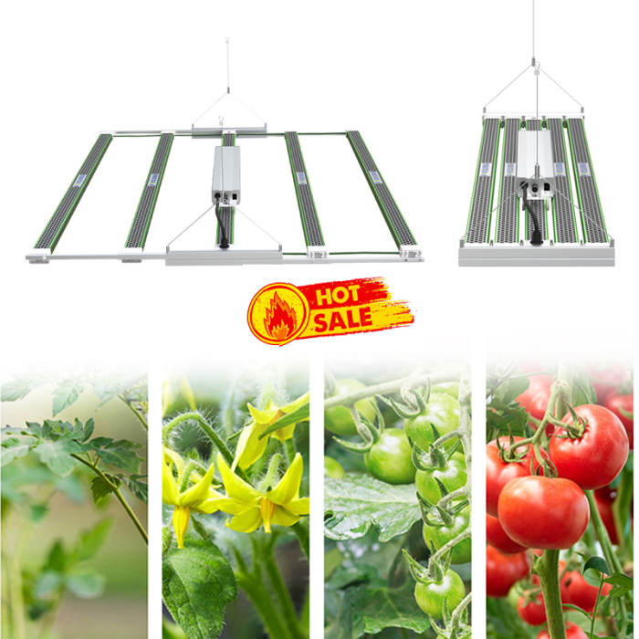 Super Blooming LED Wachsen Licht 730W Volles Spektrum