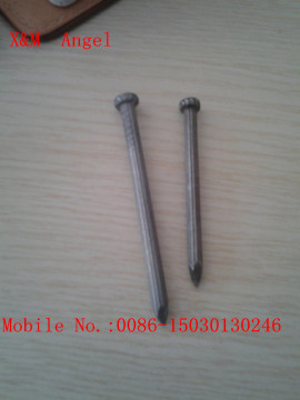 Concrete Nail for Philippines Market