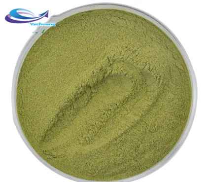 Supply Freeze-dried Vegetable Kale extract powde