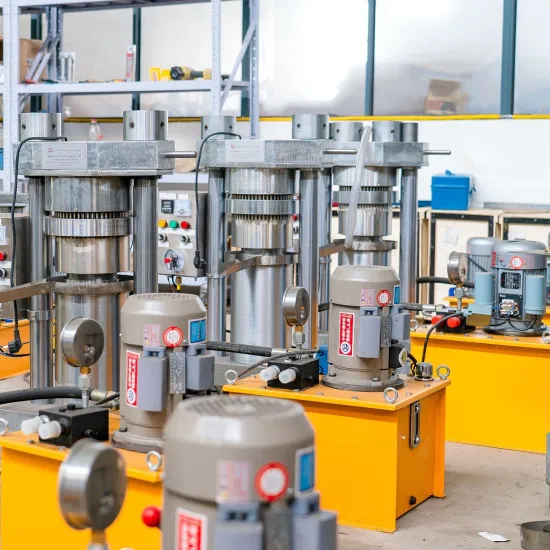 Best Factory Price Cold Oil Press Machine Sesame Seeds Hydraulic Oil Extractor