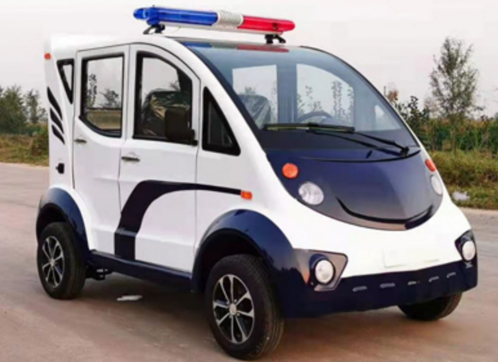 Electric sightseeing vehicle