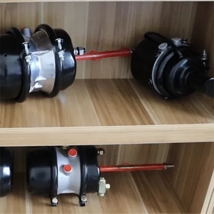 Hot Sale T9/6200 D/P & T12/6200 D/P Brake Chambers for FORD Trucks