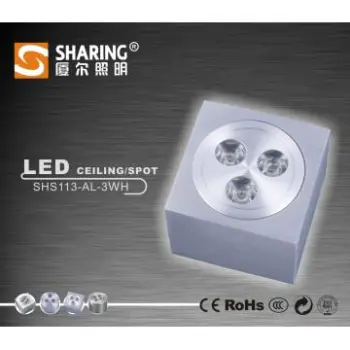 Elegant Indoor Used 3W LED Ceiling Light