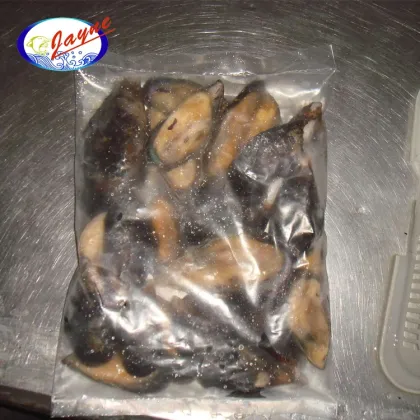 Low price seafood shellfish frozen half shell mussel