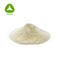 Superfood Natural Supplement 99% Amla Fruit Extract Powder