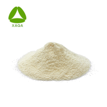 Superaliment Natural Supplément 99% Amla Fruit Extract Powder