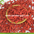 High Qualty Sale Nutrition Food Gemeenschappelijke Goji-bessen