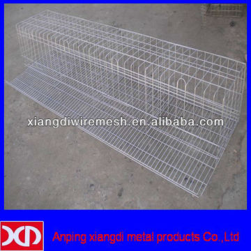 automatic farming chicken poultry layer cages