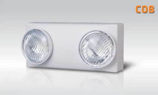 Double Headed Indoor Fire Emergency LED Light