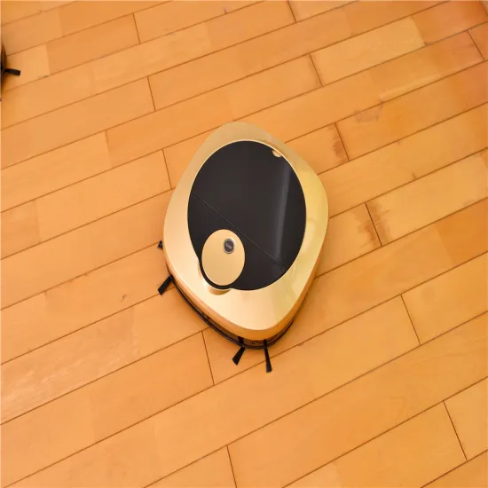 MI Robot Vacuum Cleaner