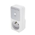 Countdown timer socket with FR Plug