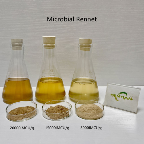 Rennet Enzyme for Cheese and Dairy Processing