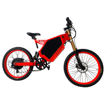 Benutzerdefinierte Lithium-Batterie-Power-elektrisches Off-Road-Fahrrad