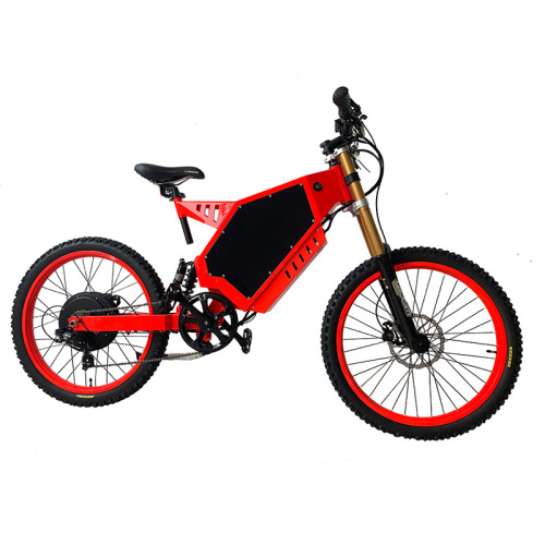 Custom Lithium Battery Power Electric Off-road Bicycle