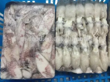 frozen sea fish baby squid