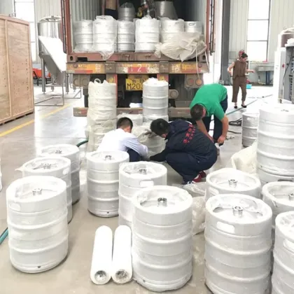 Stainless Steel Beer Kegs: 5L to 60L A/D/S/G Type Draft Beer Kegs