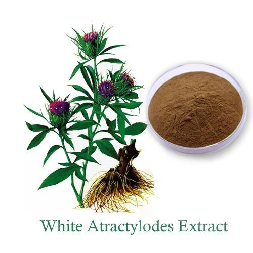 Plant extract Atractylodes extract