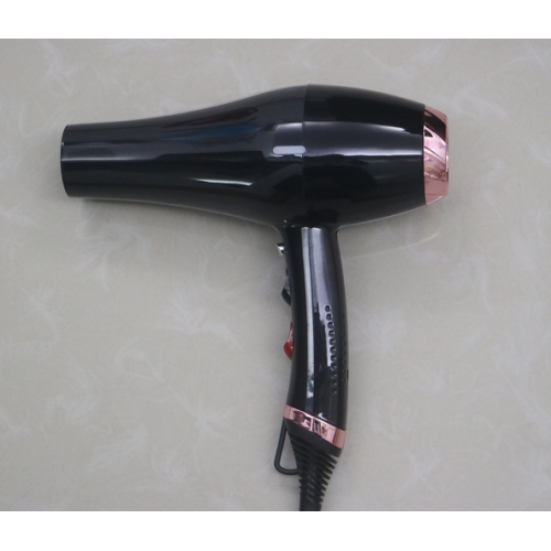 Cool Shot Two Speed Electric Ionic Hair Blower