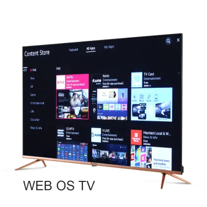 Magic Remotes for 4K TV and Smart OLED TV