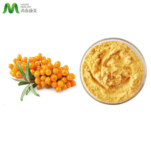 Natural Seabuckthorn Fruit Powder in Bulk