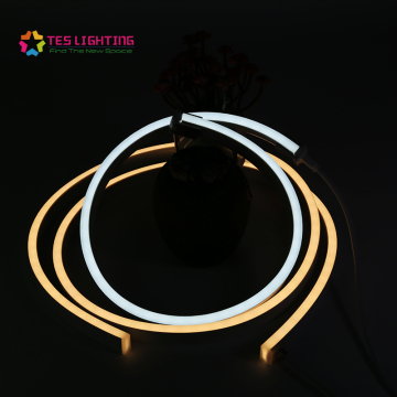 luz de tira llevada de neón al aire libre impermeable ip68